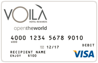 Visa® e-Gift Card 